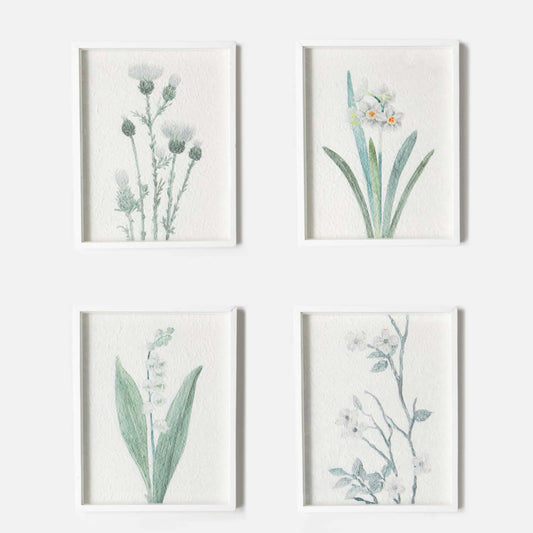 Botanical Framed Art-Wall Decor > Home & Garden > Decor > Artwork-Quinn's Mercantile