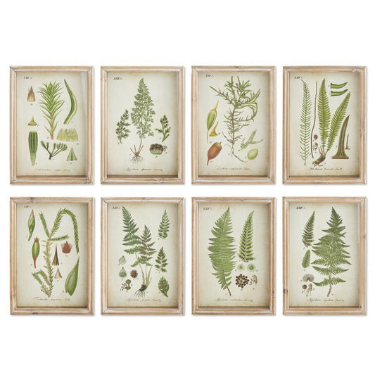 Botanical Prints in Wood Frames-Wall Decor > Home & Garden > Decor > Artwork > Posters, Prints, & Visual Artwork-Quinn's Mercantile