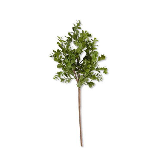 Boxwood Pick-Floral Spring-Quinn's Mercantile